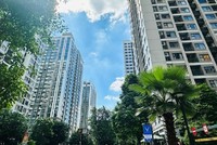 “Ma trận” tranh chấp đang bao trùm các chung cư 