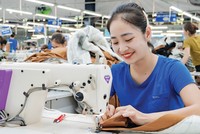 Khoản tiền hoàn thuế đóng góp tích cực vào Kl993 nền tảng giải trí Kl992 VIP Trang Chủ 2026