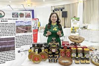 Châu Thị Nương, Giám đốc HTX Nông nghiệp Tà Đảnh 