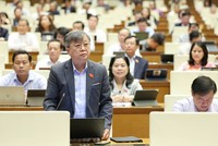 Đại biểu Trương Trọng Nghĩa phát biểu tại hội trường - Ảnh: DL 