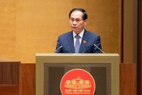 Phó Thủ tướng Bùi Thanh Sơn trình bày tờ trình của Kl993 ưu đãi thưởng hấp dẫn. 