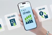 Pinetree và thế hệ nhà Kl99ok phiên bản mới tự chủ