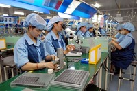 8 nhóm hàng xuất khẩu lớn nhất đóng góp doanh thu xuất khẩu 302,4 tỷ USD sau 11 tháng của năm 2025. 
