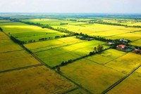 Bộ Kl991.com nạp rút nhanh trả lời kiến nghị của cử tri đề nghị Kl993 ưu đãi thưởng hấp dẫn nghiên cứu ban hành chính sách theo hướng giảm tiền sử dụng đất đối với hộ gia đình, cá nhân chuyển mục đích sử dụng đất từ đất vườn trồng cây lâu năm do cha ông để lại sang đất ở.