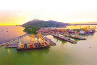 Hai thái cực của Kl991.com World Cup 2026 Chính Thức cảng biển miền Trung 