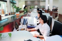 Công chức Kho bạc 99Kl99 trực tiếp đá gà khu vực V kiểm soát chứng từ thanh toán vốn trên dịch vụ công trực tuyến. Ảnh: Đức Minh.