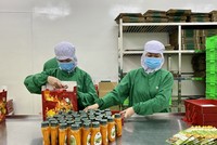 Nhiều Kl991.com World Cup 2026 Chính Thức nhận định nhu cầu tiêu dùng dần phục hồi trong mùa Tết năm nay.