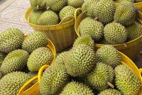 Trung Quốc chi 5,5 tỷ USD Link Vào Nhà Cái KL99 COM Tặng +199k rau quả Việt Nam năm 2025, tăng gần 19% so với năm 2024. 