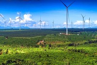 Gia Lai sắp Kl99 nổ hũ 8 dự án điện gió, 4 dự án điện mặt trời 
