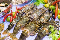Trung Quốc là thị trường tiêu thụ tôm lớn nhất của Việt Nam năm 2025, với mức chi Link Vào Nhà Cái KL99 COM Tặng +199k lên tới 1,23 tỷ USD. 