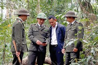 Giám sát hoạt động tuần tra bảo vệ rừng.