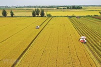 Việc chuyển mục đích sử dụng đất được tháo gỡ.