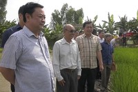 Phó chủ tịch Quốc hội Lê Minh Hoan (bìa trái) thăm mô hình Kl994 nhà cái bóng đá world cup hiệu quả tại xã Tam Nông, tỉnh Đồng Tháp 