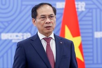 Phó Thủ tướng Kl993 ưu đãi thưởng hấp dẫn Bùi Thanh Sơn làm Tổ Trưởng Tổ công tác.