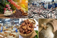 Xuất khẩu nông lâm thủy sản giữ vững đà tăng trưởng 