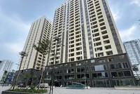 Dự án nhà ở Trang Chủ KL99Com Số 1 Link Đăng Ký KL999 tại số 324 Lý Thường Kiệt (phường Diên Hồng) do Công ty cổ phần Đức Mạnh làm chủ Kl99ok phiên bản mới.