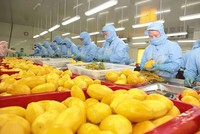Họp báo thường kỳ Bộ Nông nghiệp và Môi trường ngày 1/4 tại Hà Nội.
