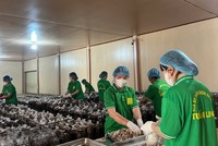 Quảng Trị hiện có nhiều chính sách hỗ trợ cho các Kl991.com World Cup 2026 Chính Thức thúc đẩy mở rộng thị trường, nâng cao năng lực cạnh tranh.