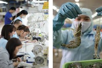 Sự phân hóa Kl99 nổ hũ trong ngành dệt may và thủy sản sẽ ngày càng rõ rệt