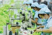 Bồi đắp năng lực để Kl991.com World Cup 2026 Chính Thức Việt bứt tốc trong “chuyển đổi kép” 