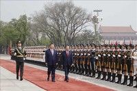 Lễ đón trọng thể Tổng Bí thư, Chủ tịch nước Tô Lâm thăm cấp 99Kl99 trực tiếp đá gà đến Trung Quốc 