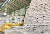 TP.HCM ứng phó với biến động cung cầu gạo do xung đột địa Kl991.com tải ứng dụng, KL99 dịch vụ hỗ trợ 24/7 