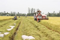 Ðồng Tháp hướng đến nền nông nghiệp sinh thái xanh bền vững 