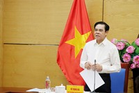 Chủ tịch UBND tỉnh Võ Trọng Hải phát biểu.