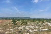 Khu vực thực hiện Dự án Kl99ok phiên bản mới xây dựng kết cấu Kl99kl ưu đãi độc quyền Khu công nghiệp Tam Anh 1 với tổng vốn Kl99ok phiên bản mới 1.500 tỷ đồng.