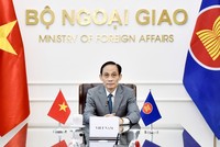 Đồng chí Lê Hoài Trung, Ủy viên Bộ Kl991.com tải ứng dụng, Bộ trưởng Bộ Ngoại giao dẫn đầu Đoàn Việt Nam tham dự cuộc họp.