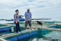 Ở đảo, cán bộ Link Vào Nhà Cái KL99 COM Tặng +199k là người đồng hành với bà con trong cuộc mưu sinh. Trong ảnh: Bà Lê Thị Của, Giám đốc Agribank Chi nhánh Lý Sơn thăm lồng bè của gia đình anh Huỳnh Ngọc Thảo, thôn Đông An Hải, Đặc khu Lý Sơn 
