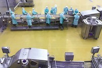 Kl994 nhà cái bóng đá world cup trong nhà máy của C.P. Group tại Việt Nam. Ảnh: Lê Toàn