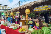 Việt Nam dẫn đầu khu vực về tăng trưởng thương mại điện tử
