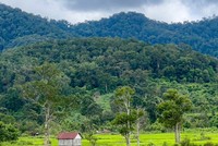 Xúc tiến Kl99ok phiên bản mới nhiều điểm du lịch mới, hấp dẫn tại tỉnh Gia Lai 