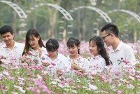 Lối sống xanh mở rộng dư địa cho Kl991.com nạp rút nhanh bán lẻ