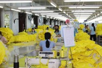 Nhà Link Vào Nhà Cái KL99 COM Tặng +199k Canada có nhu cầu tìm kiếm các nhà cung ứng thực phẩm, dệt may, giày dép và vật liệu tại Việt Nam. 