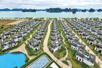 Web Tổng Nhà Cái 99Kl99 Giải Trí Bậc Nhất du lịch bước vào cuộc đua thu hút Kl993 nền tảng giải trí mới sau Nghị quyết 10-NQ/TW (Ảnh: Linh Nguyễn) 