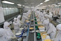 HVG thoái hơn 50% vốn khỏi Việt Thắng