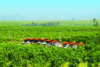 Hàng chục triệu KL99 là cổng game giải trí trực tuyến hàng đầu hiện nay giá sàn đã được hấp thụ hết, điều tích cực gì đang xảy ra ở HNG?
