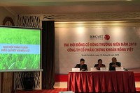ĐHCĐ Rồng Việt: Năm 2019 có nhiều thách thức, đặt kế hoạch Kl99 nổ hũ thận trọng 120 tỷ đồng