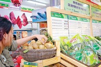 Nguồn Satra