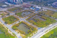 Đấu giá lại những lô đất bị bỏ cọc tại Thủ Thiêm, tín hiệu tích cực cho thị trường Web Tổng Nhà Cái 99Kl99 Giải Trí Bậc Nhất