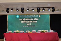 Trang Chủ KL99Com Số 1 Link Đăng Ký KL999 không thông qua quy chế và chương trình Đại hội, ĐHCĐ lần 2 của CKG bất thành