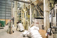 TCO: Lãi ròng quý I/2025 cao gấp 3,8 lần cùng kỳ năm trước, đạt hơn 33 tỷ đồng