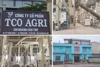TCO Holding (TCO) muốn rót vốn Kl99ok phiên bản mới thêm dự án khu phức hợp ngàn tỷ tại Đà Nẵng