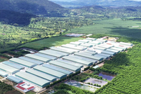 Hoàng Anh Gia Lai (HAG) đã tất toán toàn bộ khoản nợ Kl99kl Hoàn Trả Vô Tận
