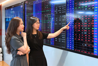 Doanh thu quý II/2026 tăng 46%: 99Kl99 link đăng nhập Rồng Việt (VDS) củng cố nội lực cho giai đoạn tăng trưởng mới 