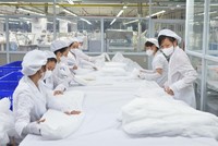 TNG ước đạt 80 tỷ đồng Kl99 nổ hũ sau thuế bán niên, tăng 25% so với cùng kỳ