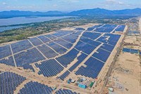 Nhà máy điện mặt trời Phù Mỹ do TCD thi công