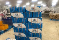 Kl99ok phiên bản mới Đa quốc gia (IDI) lên kế hoạch chi 45% 99Kl.app mobile mới nhất tiền mặt